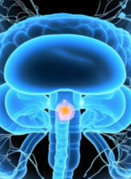 72.4%肿瘤完全消失!TARA-002治疗早期膀胱癌疗效良好,安全且容易耐受