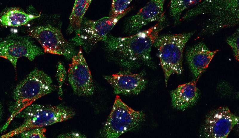 微信图片_20210317171408.png 微信图片_20210317171408.png