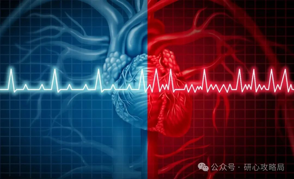 房颤消融“新旧对决”：脉冲场消融 vs 射频消融，哪种更适合你？